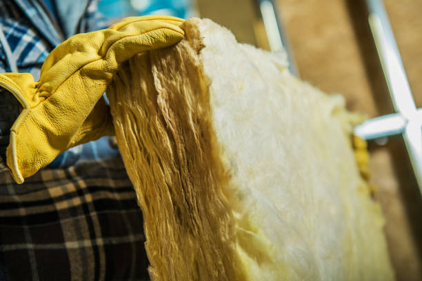 Best Wall Insulation Contractor  in Diaz, AR
